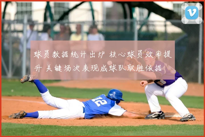 球员数据统计出炉 核心球员效率提升 关键场次表现成球队取胜依据