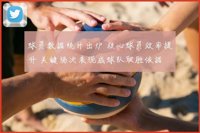 球员数据统计出炉 核心球员效率提升 关键场次表现成球队取胜依据