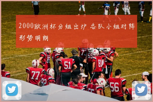2000欧洲杯分组出炉 各队小组对阵形势明朗