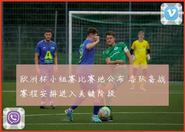 欧洲杯小组赛比赛地公布 各队备战赛程安排进入关键阶段