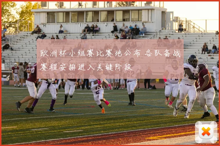 欧洲杯小组赛比赛地公布 各队备战赛程安排进入关键阶段