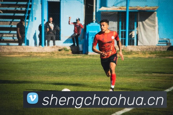 半岛网页版服务体系